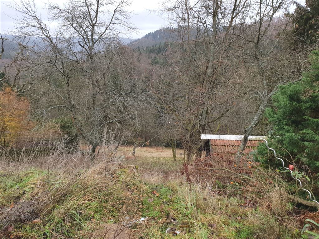 Grundstück