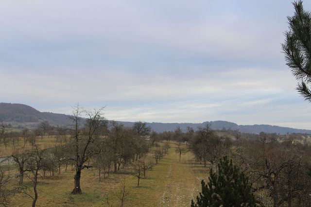 Lage direkt am Feldrand