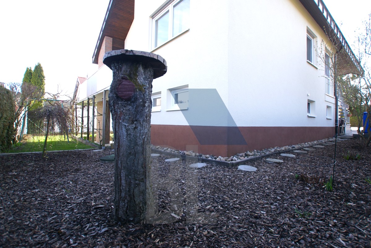 Außenansicht Garten 